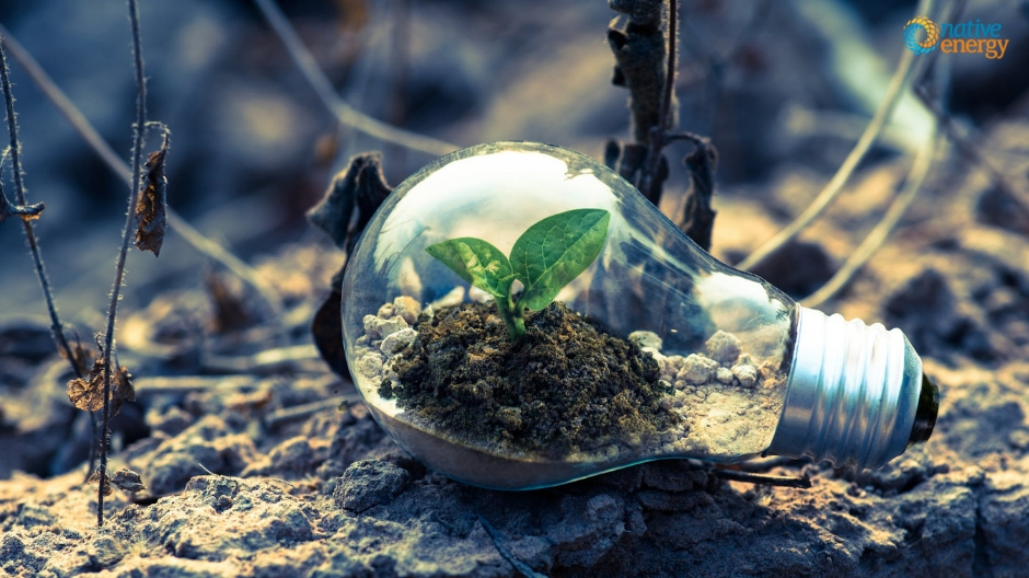 What It Means to Be an Impactful Leader and Build a Shared Vision